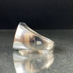 Simple Daily Agate 925 Silver Ring For Young Men